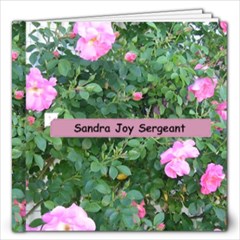 Sandra Joy Sergeant backup - 12x12 Photo Book (20 pages)