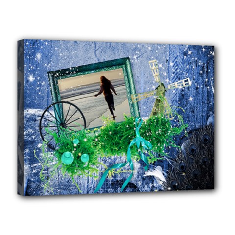 Midnight Wish - Canvas 16x12 (Stretched)  - Canvas 16  x 12  (Stretched)