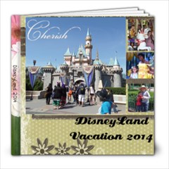 disneyland mom - 8x8 Photo Book (20 pages)