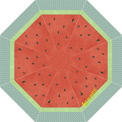 Watermelon - Hook Handle Umbrella (Medium)