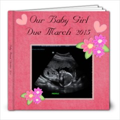 baby reveal - 8x8 Photo Book (20 pages)