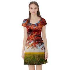 autumn tree dress - Short Sleeve Skater Dress