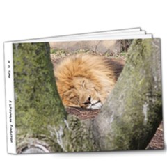 It Is Time - 9x7 Deluxe Photo Book (20 pages)