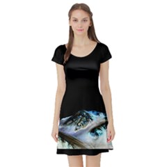 Mars water surface dress - Short Sleeve Skater Dress