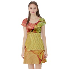 Fruit Salad Sk8r Dress - Short Sleeve Skater Dress