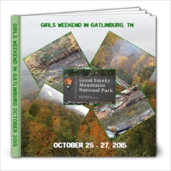 Girl s weekend in gatlinburg Oct 2015 - 8x8 Photo Book (20 pages)