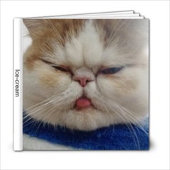 icecream - 6x6 Photo Book (20 pages)