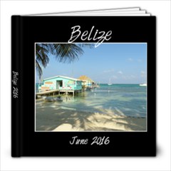 Belize - Mom - 8x8 Photo Book (20 pages)