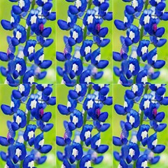 Bluebonnetmacro- Fabric by LynScottImaging