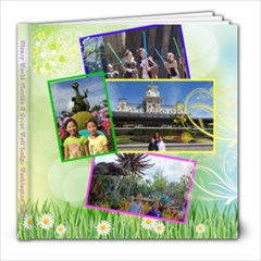 2018 Disney World  - 8x8 Photo Book (20 pages)