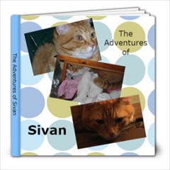 The Adventures of Sivan - 8x8 Photo Book (20 pages)