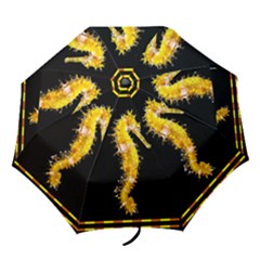 blackseahorse - Folding Umbrella