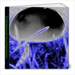 EVE (Enhanced Visual Experience) - 8x8 Photo Book (20 pages)