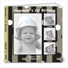 Alexander s 1st Birthday1 - 8x8 Photo Book (20 pages)