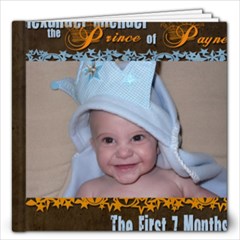 Alexander Michael Payne-First Seven Months - 12x12 Photo Book (20 pages)