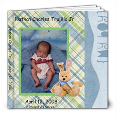 Baby Nates Book - 8x8 Photo Book (20 pages)