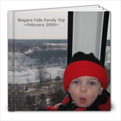 Niagara Falls ~ Feb. 2009 - 8x8 Photo Book (20 pages)