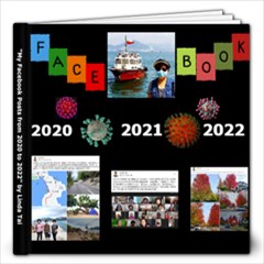 Pandemic 2020 - 12x12 Photo Book (20 pages)