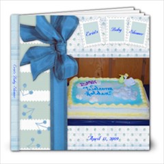 Erin s Baby Shower - 8x8 Photo Book (20 pages)