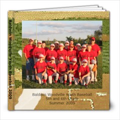 baseball - 8x8 Photo Book (20 pages)