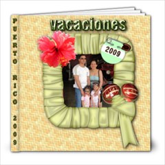 vacations 2009 - 8x8 Photo Book (20 pages)