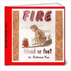 Fire, Friend or Foe  Book II - 8x8 Photo Book (20 pages)