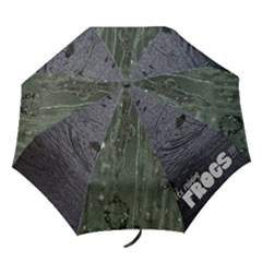 Men s Umbrella IT S RAINING FROGS! - Folding Umbrella