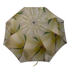 white rain umbrella - Folding Umbrella