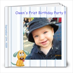 Owen s First Birthday - 8x8 Photo Book (20 pages)