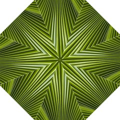 Exotic Palm Fronds - Folding Umbrella
