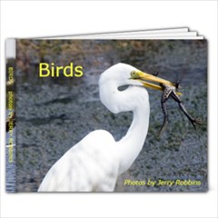 Birds 9 x 7  - 9x7 Photo Book (20 pages)