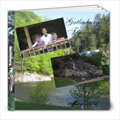 Tenessee vacation 2010 - 8x8 Photo Book (39 pages)