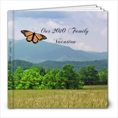 Family Vacation - 8x8 Photo Book (100 pages)