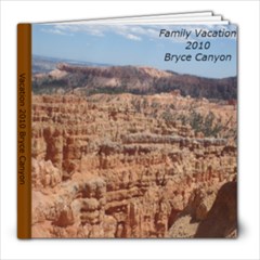 Our Family Vacation (well a tiny bit, this is the first book of a series) - 8x8 Photo Book (39 pages)