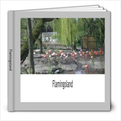 The Boys at Flamingoland - 8x8 Photo Book (20 pages)