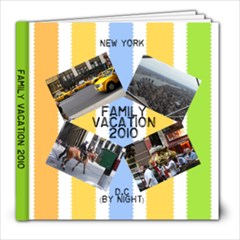 Family Vacation 2010 - 8x8 Photo Book (20 pages)