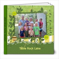 2010 Streit Family Vacation - 8x8 Photo Book (39 pages)
