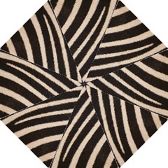 Cebra -  UMBRELLA - Folding Umbrella