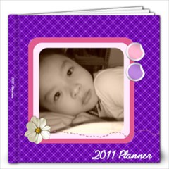 12x12 Pretty Purple-y 2011 Monthly Planner - 12x12 Photo Book (20 pages)