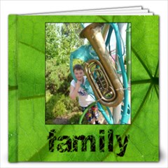 Family Simple Sentiments Classic 12 x 12 album - 12x12 Photo Book (20 pages)