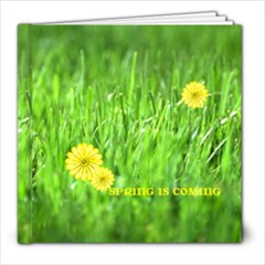 spring is coming - 8x8 Photo Book (20 pages)