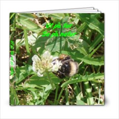 Out walking looking at nature - 6x6 Photo Book (20 pages)