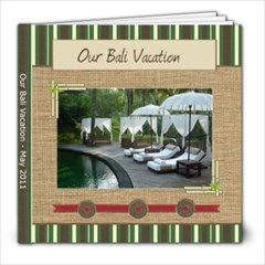 Our Vacation - Bali 2011 - 8x8 Photo Book (20 pages)