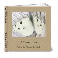 a closer look - 6x6 Photo Book (20 pages)