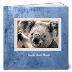 family book 1 - 12x12 Photo Book (20 pages)