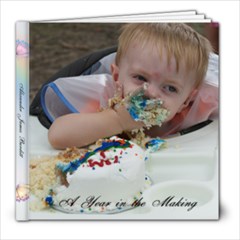 Alexander 1st year - 8x8 Photo Book (20 pages)