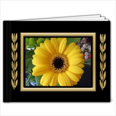 Black and Gold 11x8.5 book (20 Pages) - 11 x 8.5 Photo Book(20 pages)