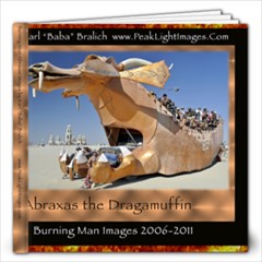 60 page 12x12 Burning Man 2011 Book - 12x12 Photo Book (20 pages)