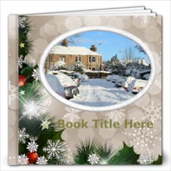 Winter Snowflake 12x12 book (30 pages) - 12x12 Photo Book (20 pages)