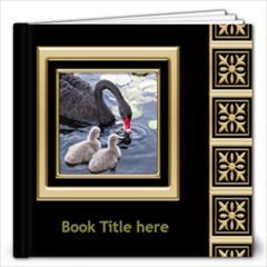 Black and Gold 12x12 Book (40 Pages) - 12x12 Photo Book (20 pages)